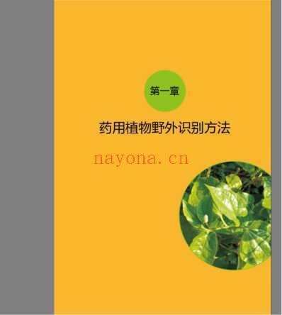 药用植物野外识别图鉴.pdf