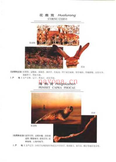 中华天然补品大全_张愈.pdf