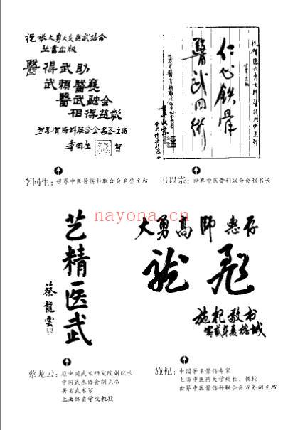 功夫整脊_张大勇.pdf