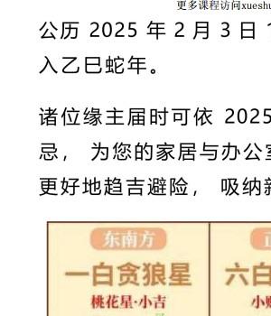 【九宫飞星】2025九宫飞星图+各种布局建议Y插图