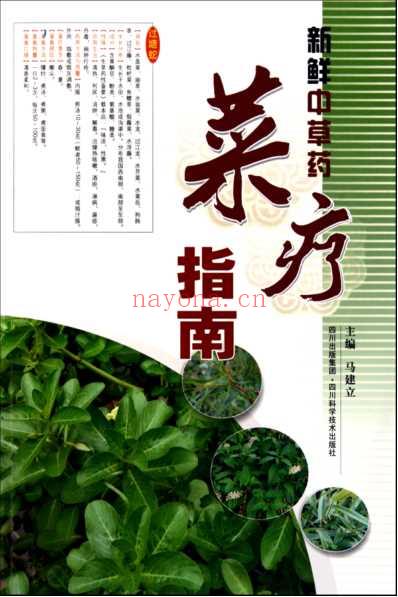 新鲜中草药菜疗指南-彩图版-马建立.pdf