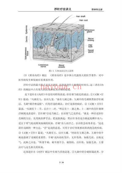 符仲华浮针疗法讲义.pdf