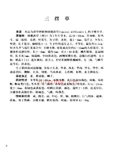 实用中草药彩色图集-第7册.pdf