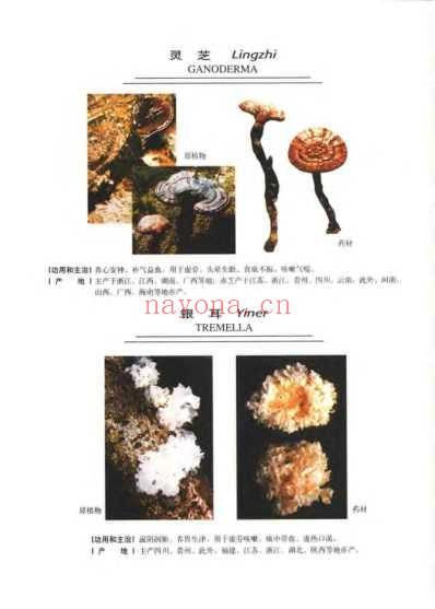 中华天然补品大全_张愈.pdf