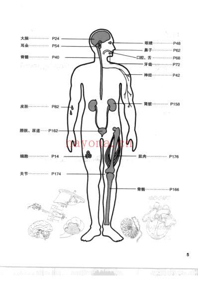 全图解人体说明书.pdf