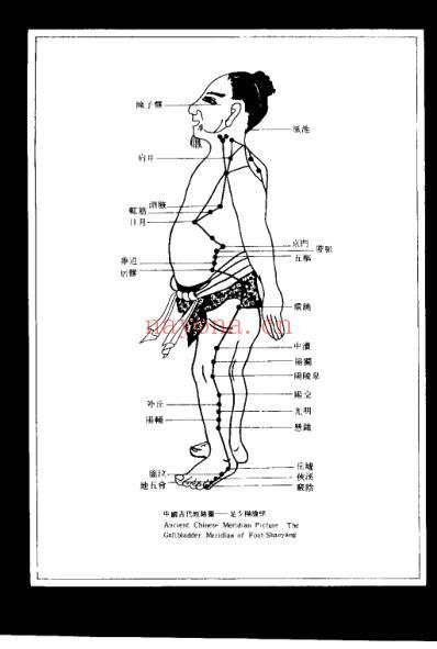 图解中国针灸技法_严洁.pdf