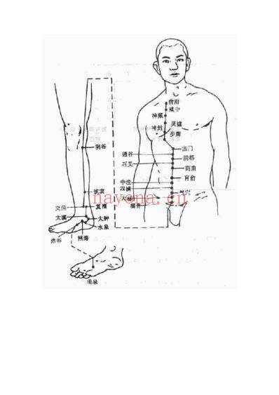 人体穴位脉络大全图解.pdf