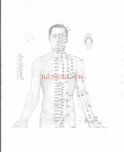 神奇中医-经络穴位.pdf