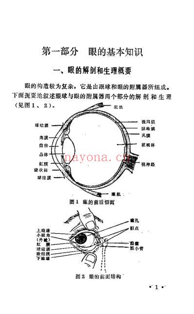 中医眼科临床实践_庞赞襄.pdf