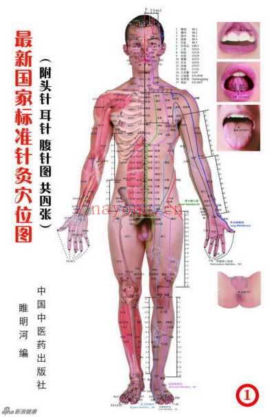 国家最新标准针灸穴位图.pdf