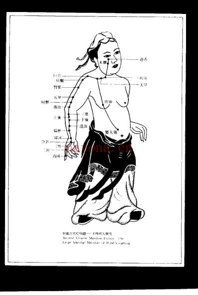 图解中国针灸技法_严洁.pdf