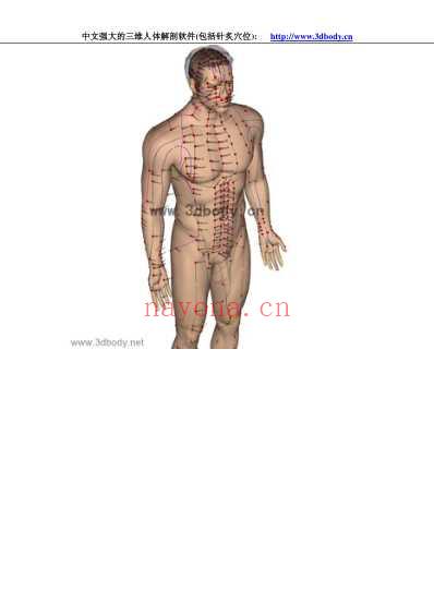 3D人体解剖图_针炙穴位图.pdf