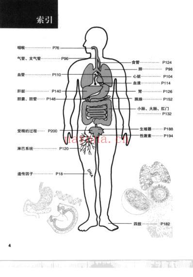 全图解人体说明书.pdf