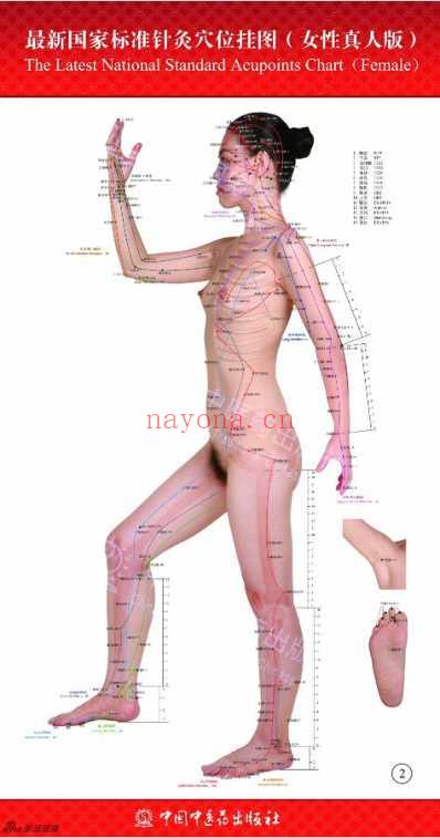 国家最新标准针灸穴位图.pdf