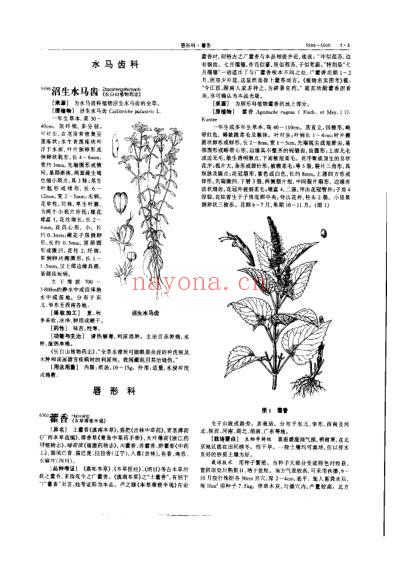 中华本草_第19卷.pdf