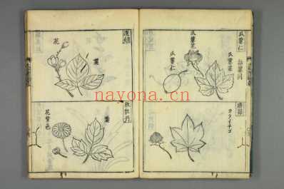 大和本草-日宽永刻本_十八.pdf