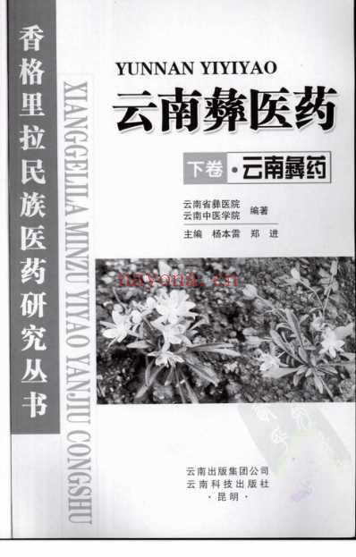 云南彝医药-云南彝药-_下卷.pdf