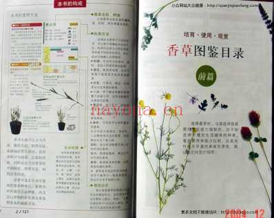 78种健康香草栽培.pdf