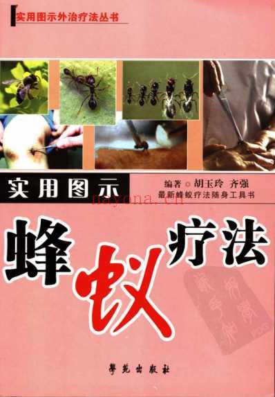 实用图示蜂蚁疗法.pdf