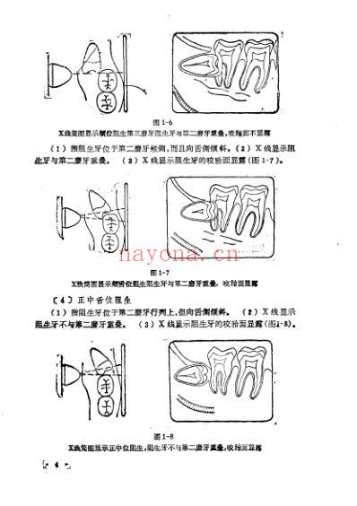 口腔小手术指导.pdf