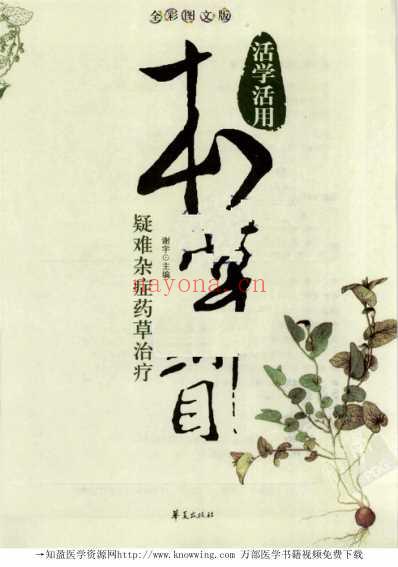 疑难杂症药草治疗.pdf