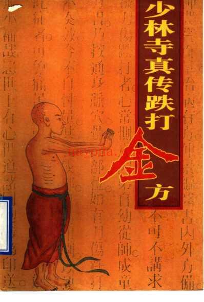 少林寺真传跌打金方_梁达.pdf