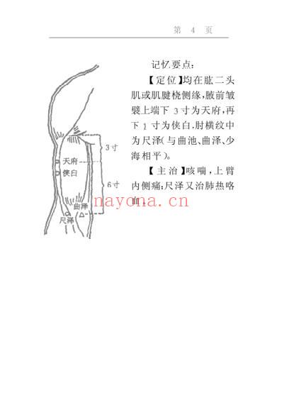 针灸穴位记忆手册.pdf