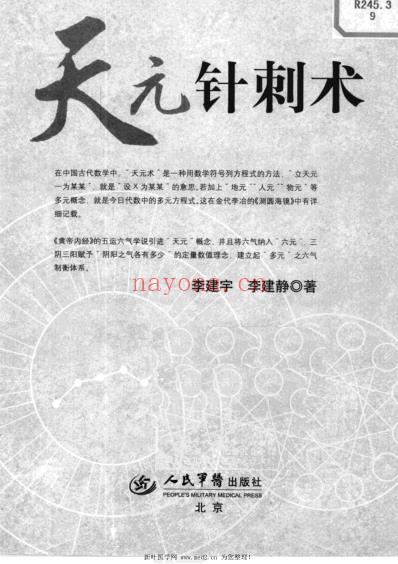 天元针刺术_李建宇.pdf