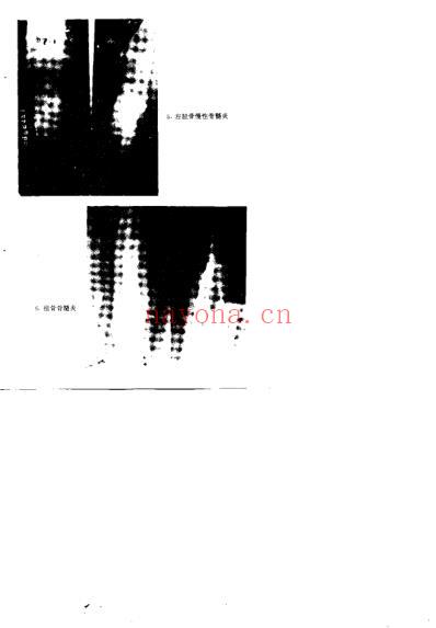 中医骨病证治_夏大中.pdf