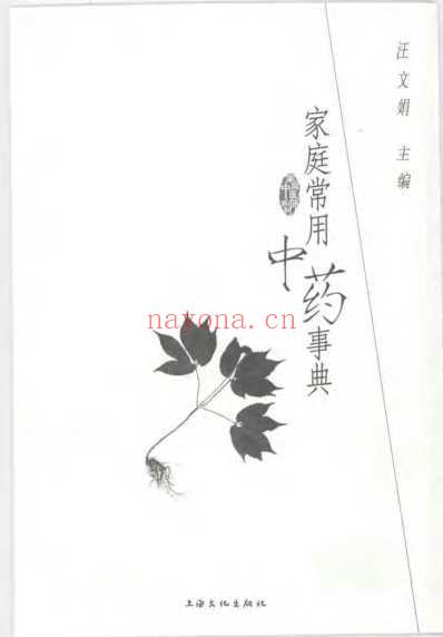 家庭常用中药事典.pdf