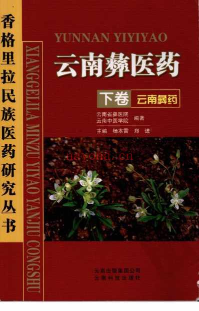 云南彝医药-云南彝药-_下卷.pdf