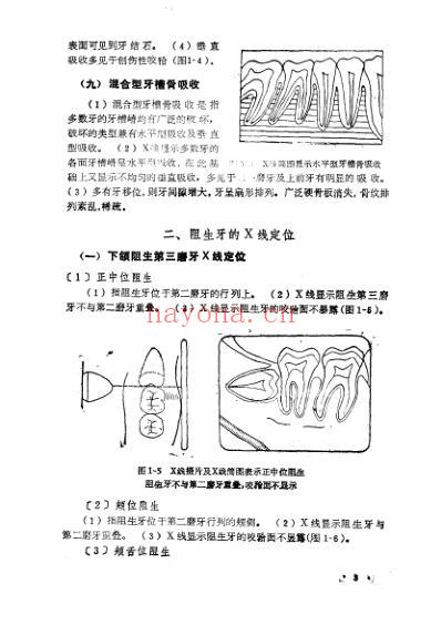 口腔小手术指导.pdf