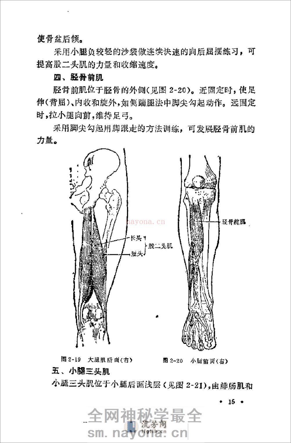 腿法 - 第18页预览图