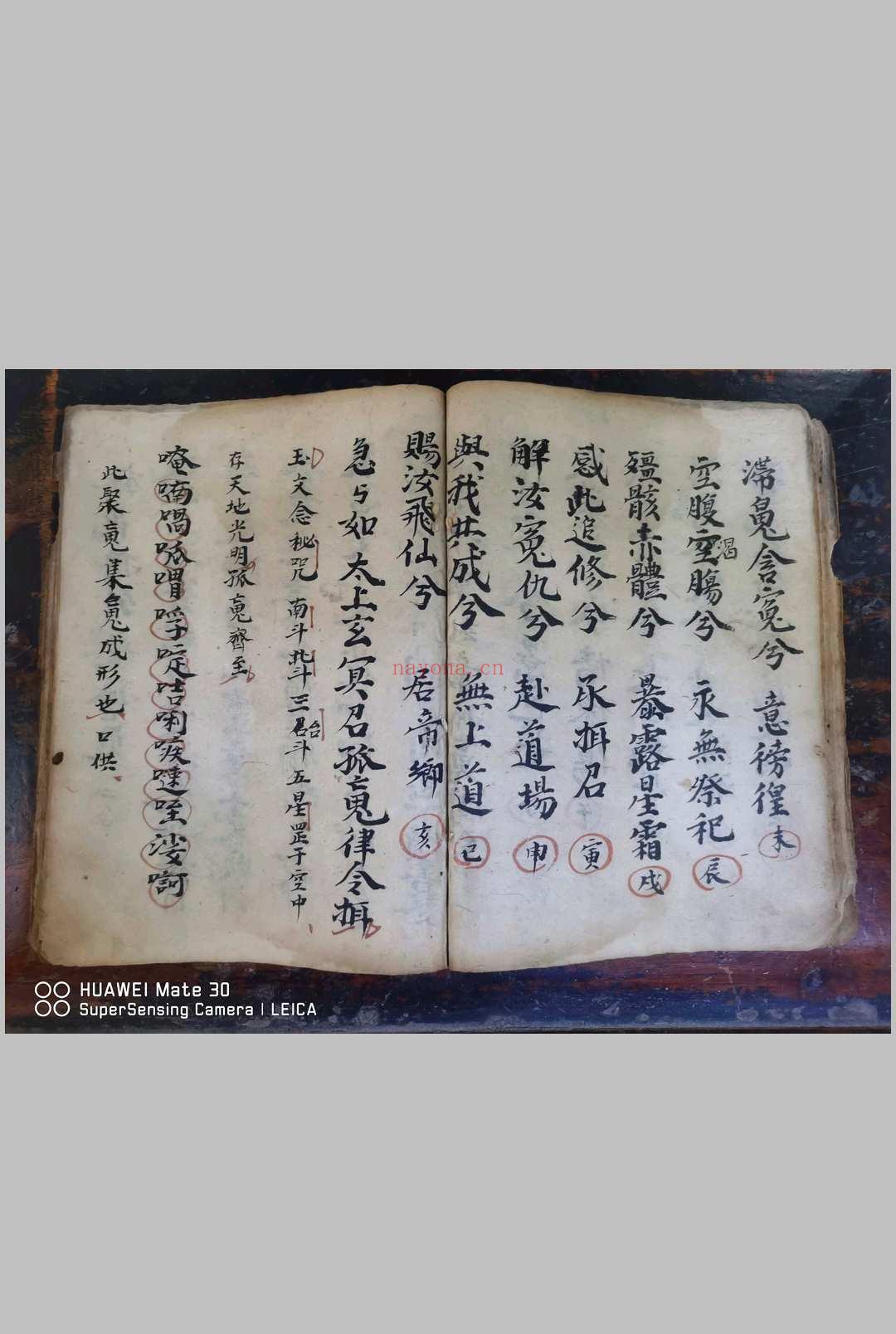 灵宝玉阳施食上案仪