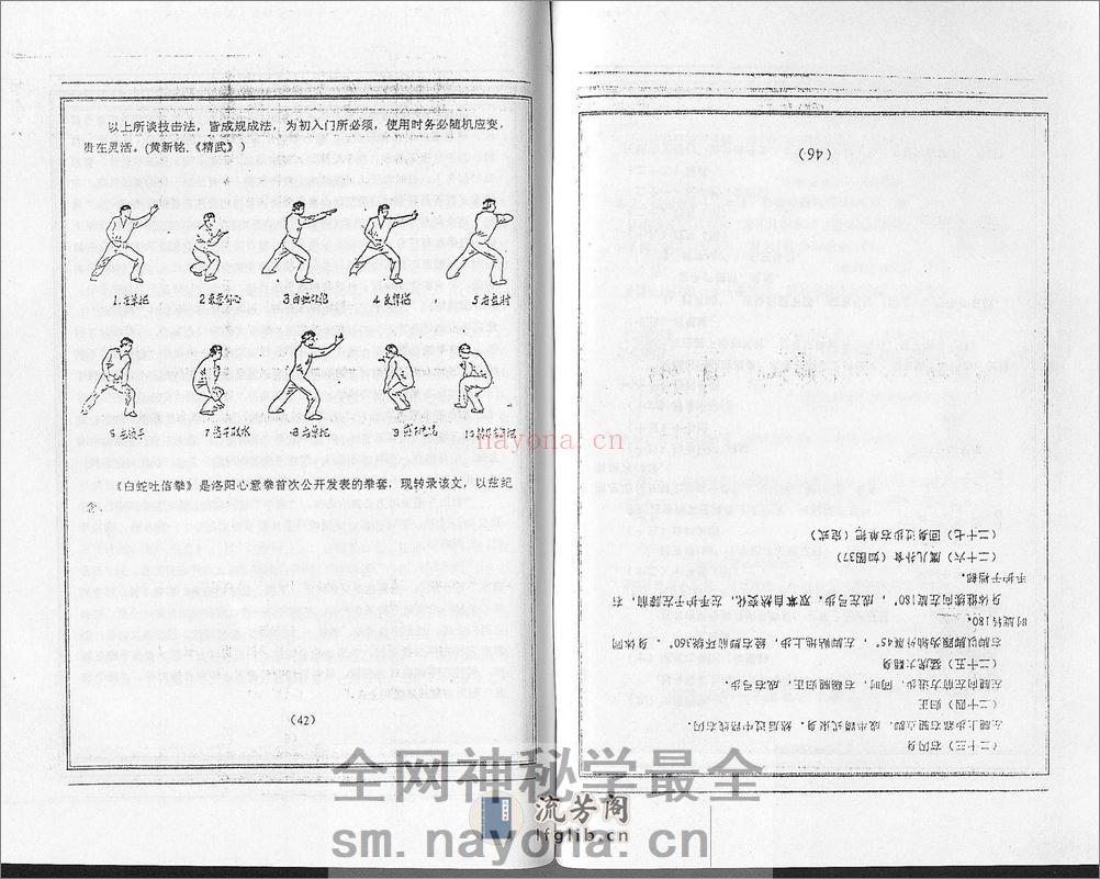 《洛阳心意拳》孙友恒 - 第20页预览图