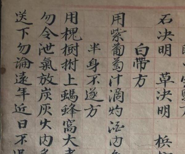 《神授药方》 (神授卫生汤)