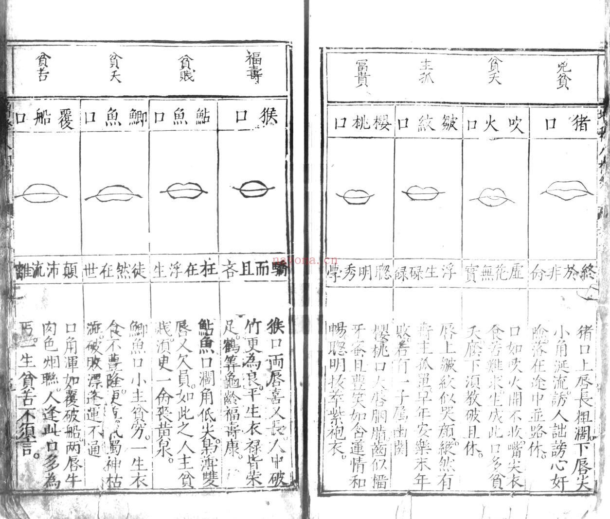 合併麻衣先生人相编