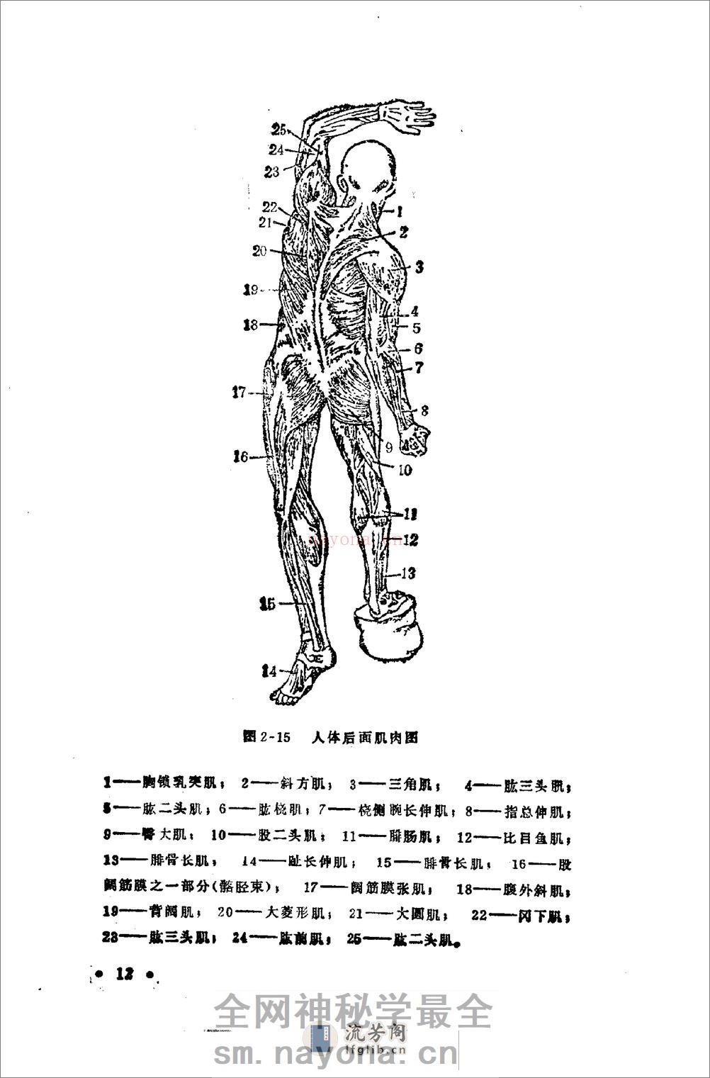 《腿击法108势》 - 第15页预览图