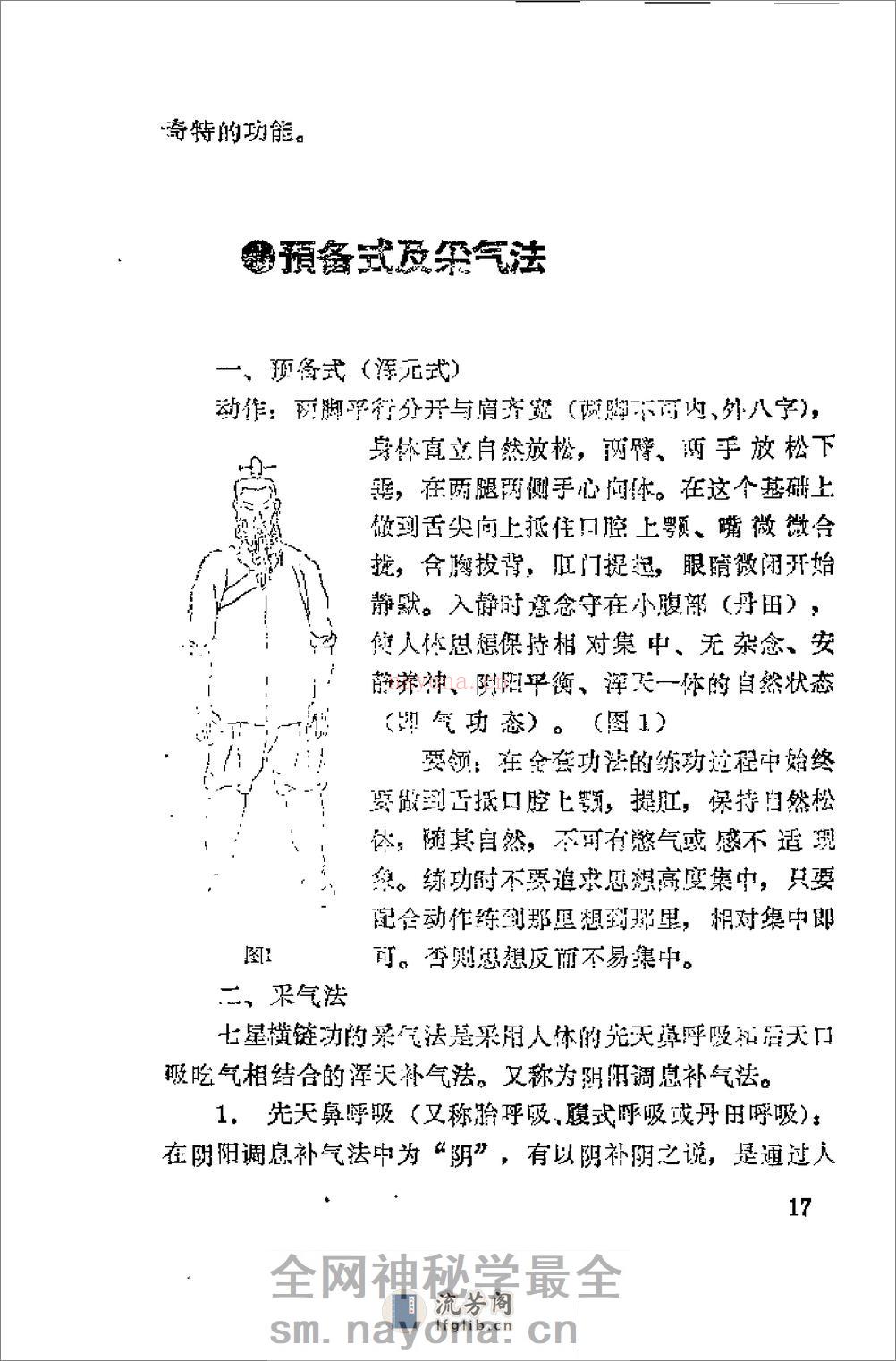 [七星横链功].许有生 - 第19页预览图