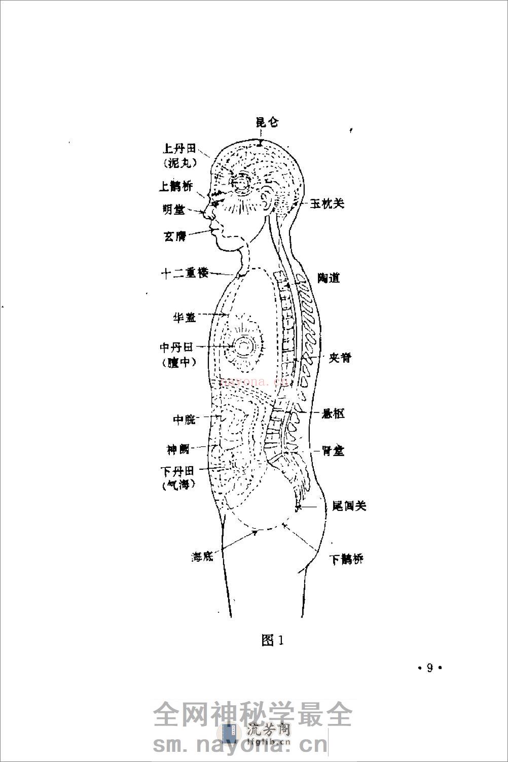 [现代流行养生健脑功法].陈登山(1) - 第20页预览图