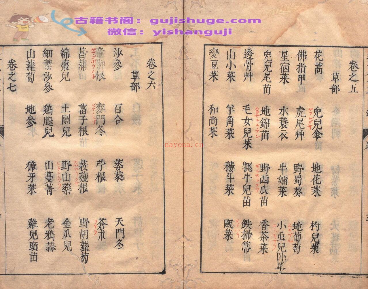 周宪王救荒本草 徐光启 王磐 明刊本