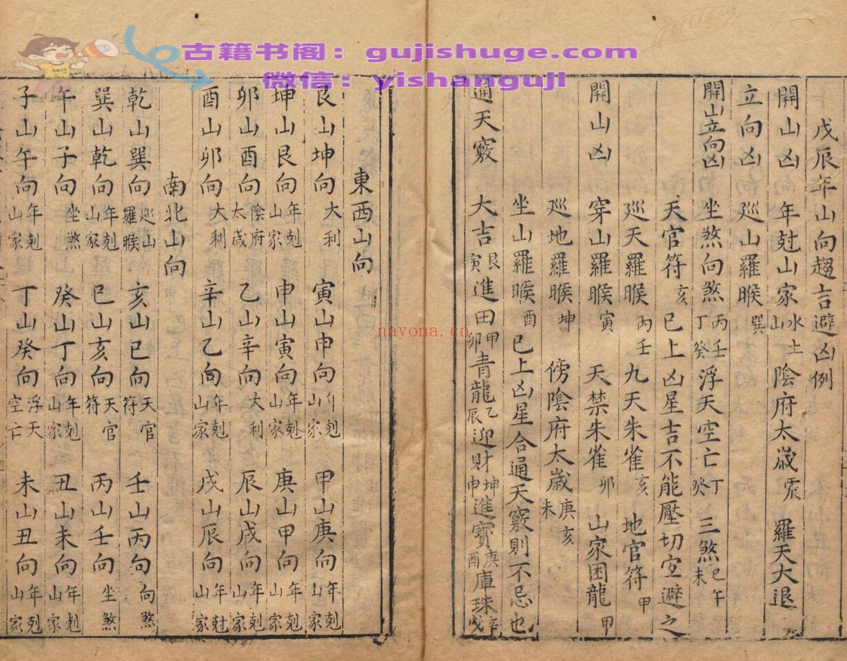 通天窍
