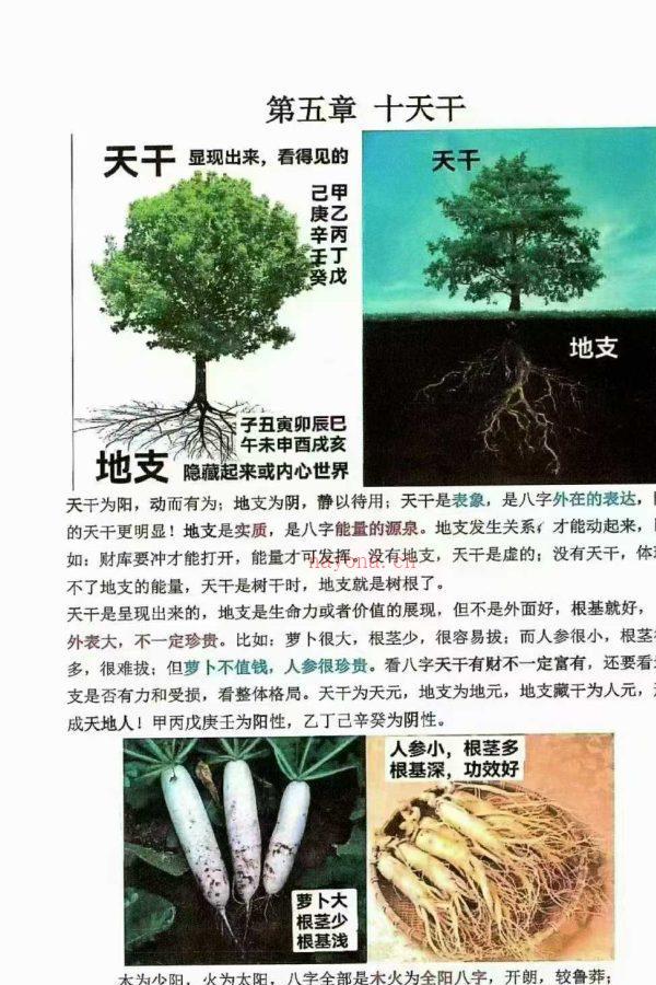 25年《如何看八字精华、趣味八字》一看就懂，一学就会，PDF146页高清彩色文档