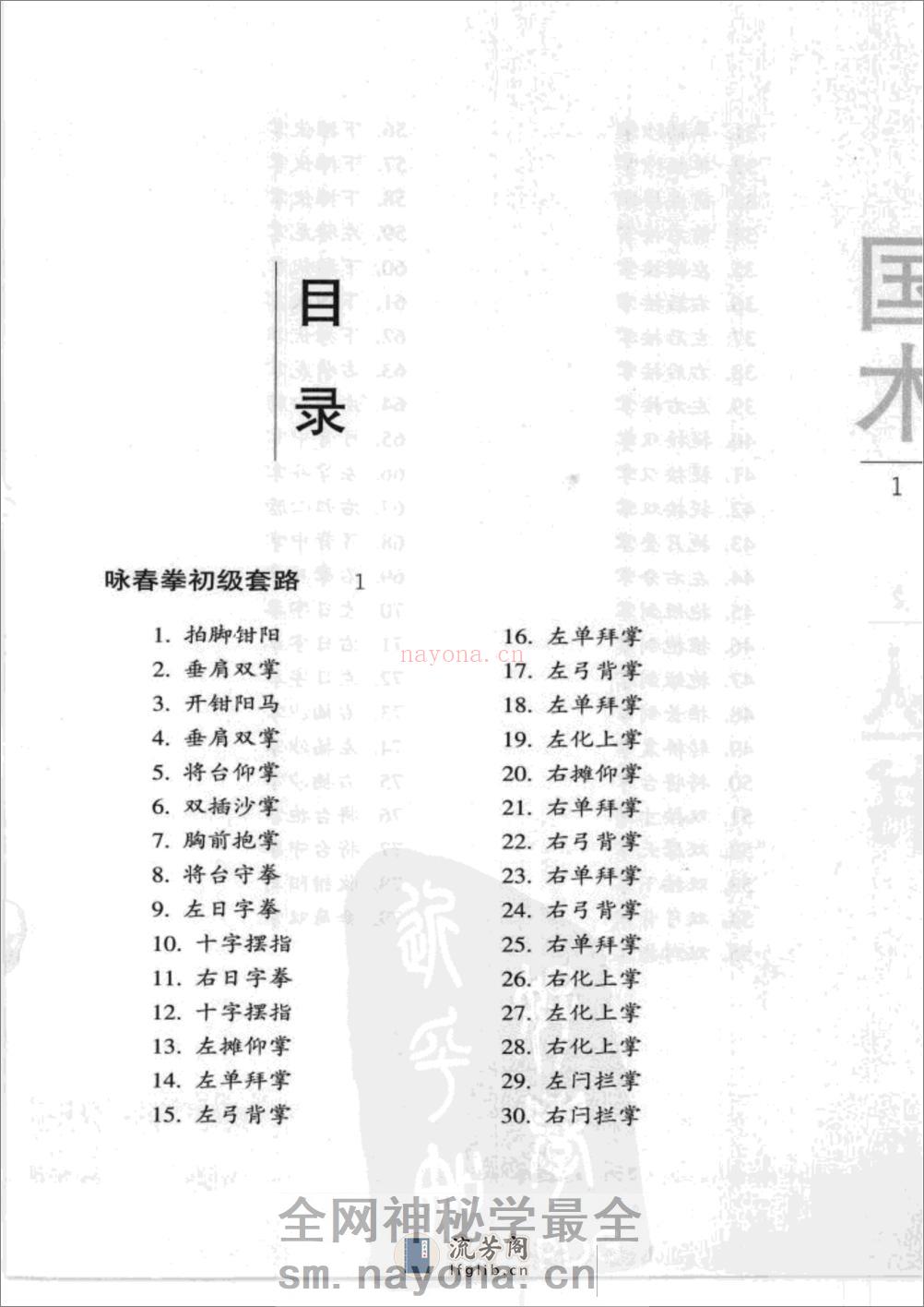 《咏春拳——小念头》韩广玖 - 第7页预览图