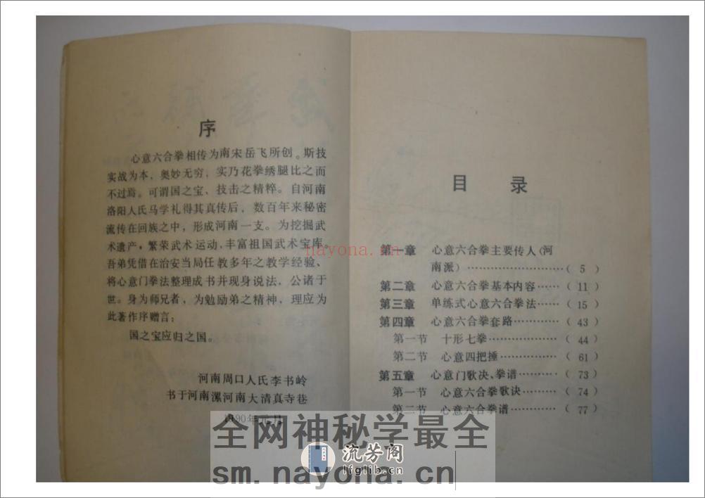 《心意六合拳》李新民 - 第6页预览图
