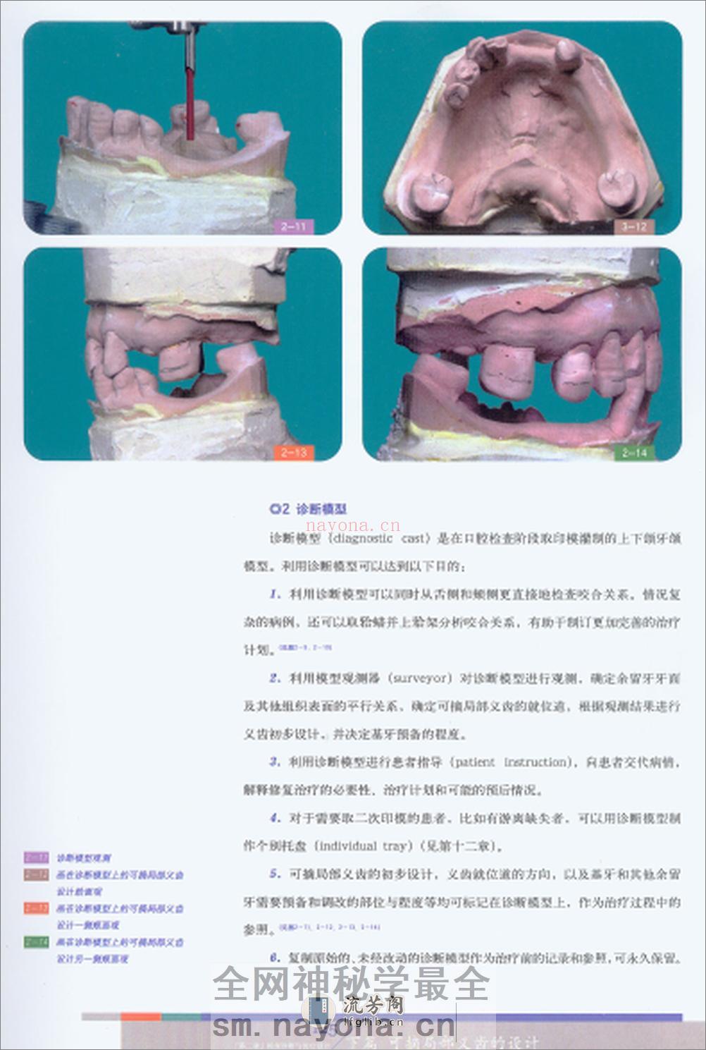 可摘义齿 - 第14页预览图