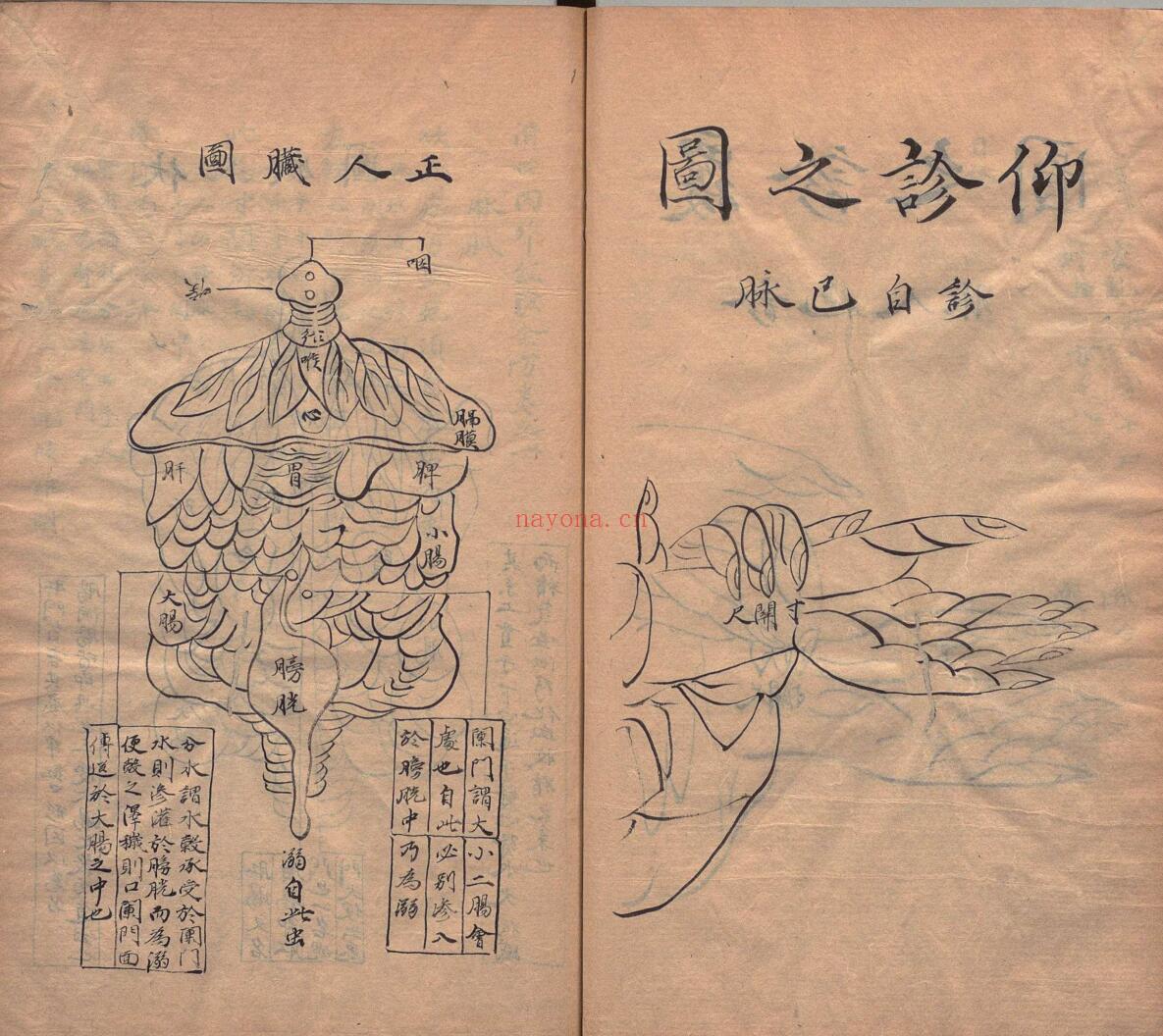 《世经验全方》