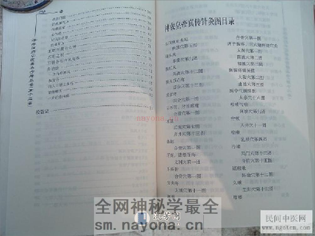 神农皇帝针灸图 - 第4页预览图