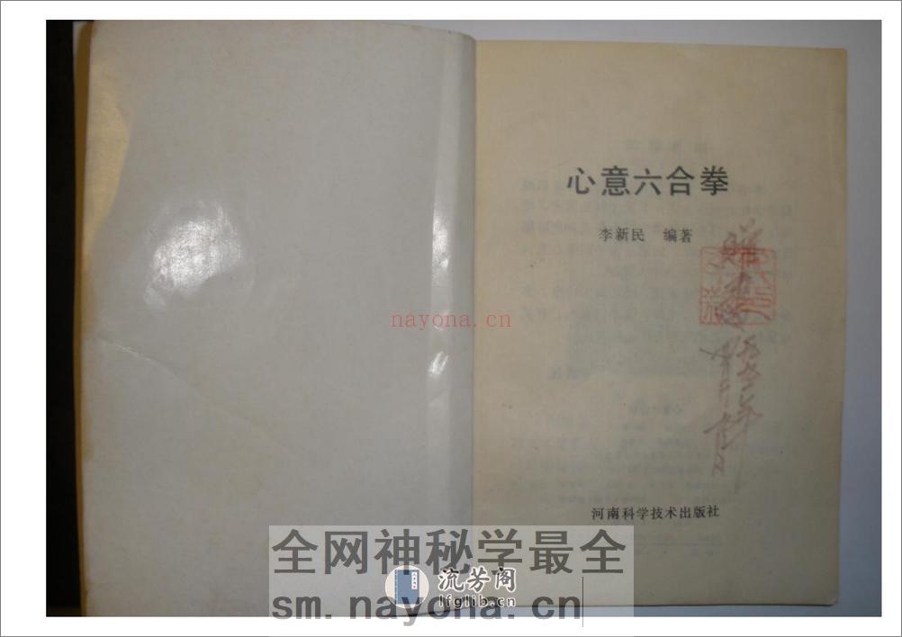 《心意六合拳》李新民 - 第2页预览图