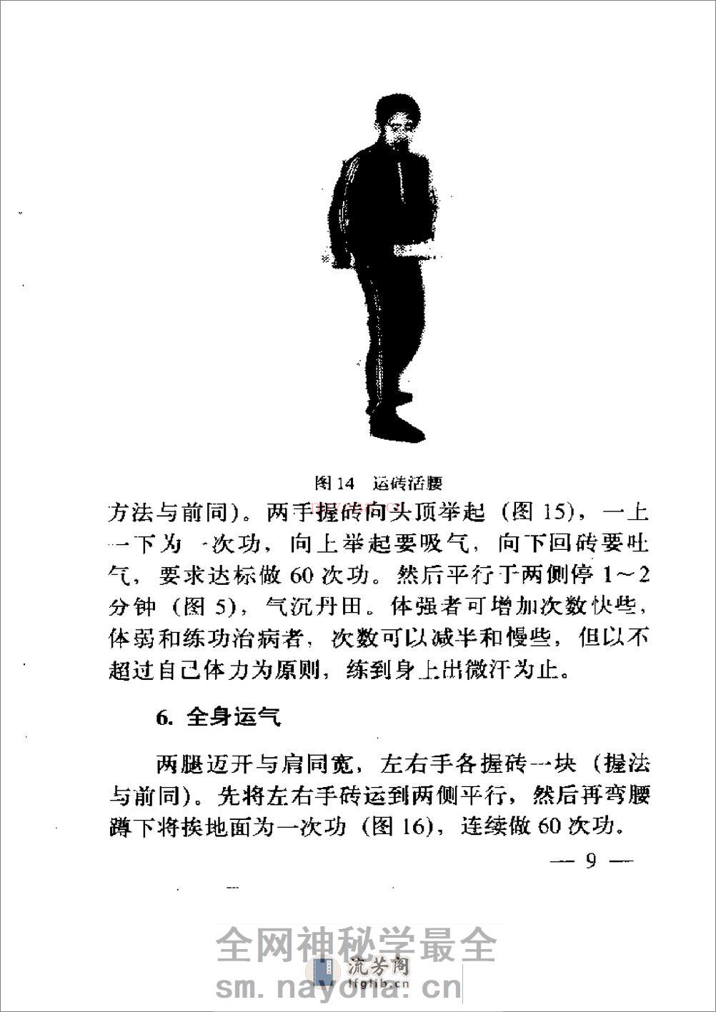 [气功金玉集].宋国臣 - 第13页预览图